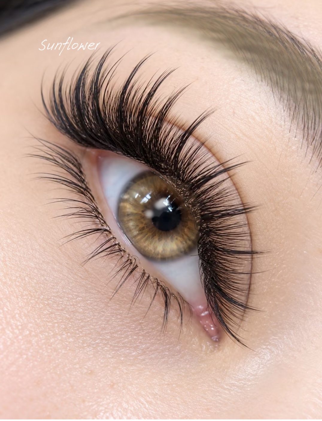 Sunflower lash design